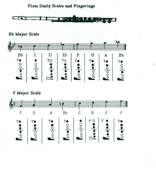 2 scales 